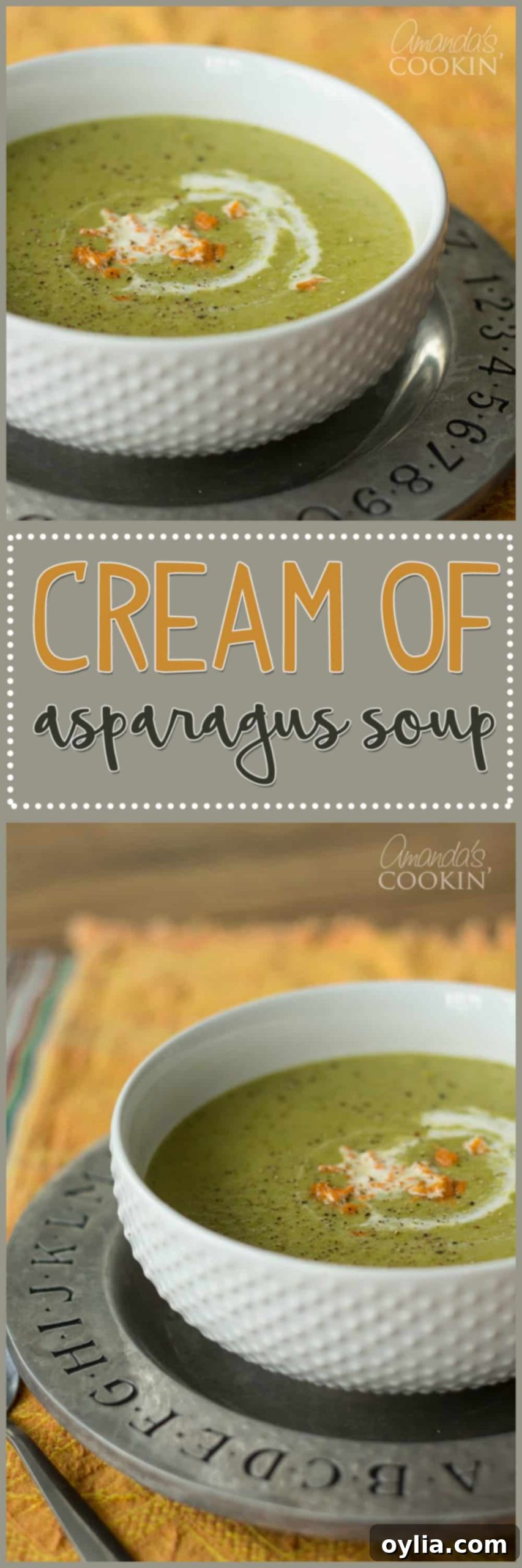 A photo of cream of asparagus soup.