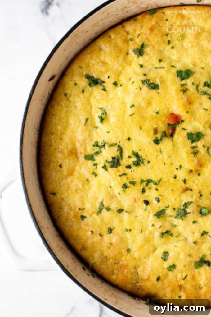 An overhead picture of a baked vegetable frittata.
