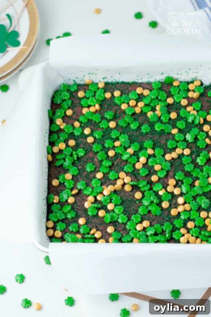Smooth Baileys Irish Cream Chocolate Fudge without sprinkles