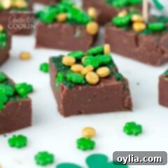 piece of fudge