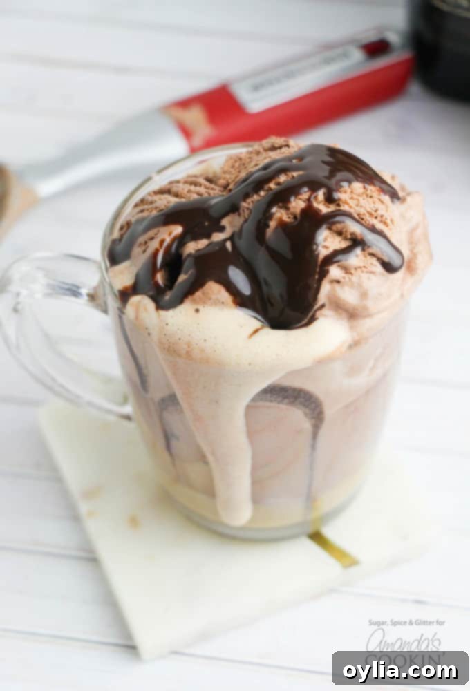 Baileys Coffee Float – chocolate syrup on ice cream, close up