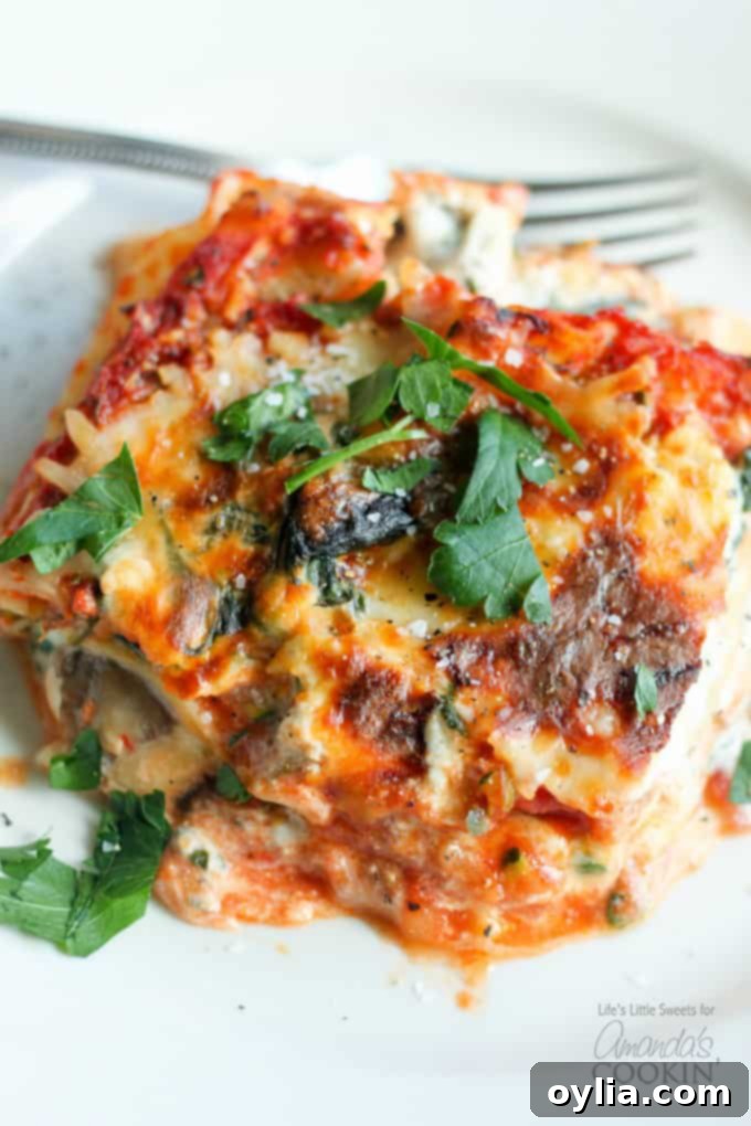 Garden Veggie Lasagna 2 slice of veggie lasagna garnished with parsley