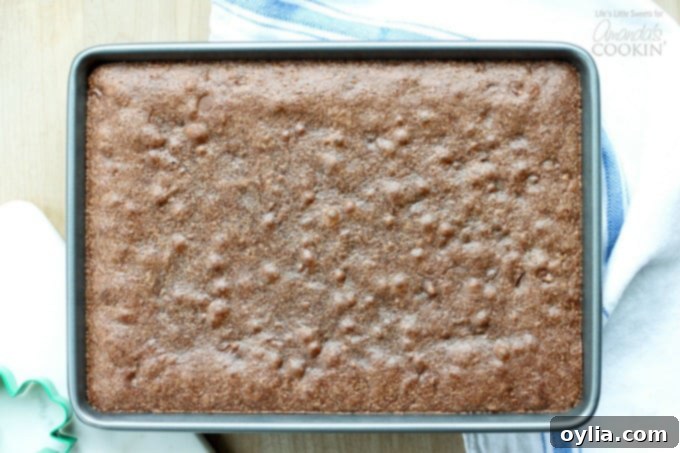 Close-up of fudgy and decadent chocolate brownie batter in a mixing bowl