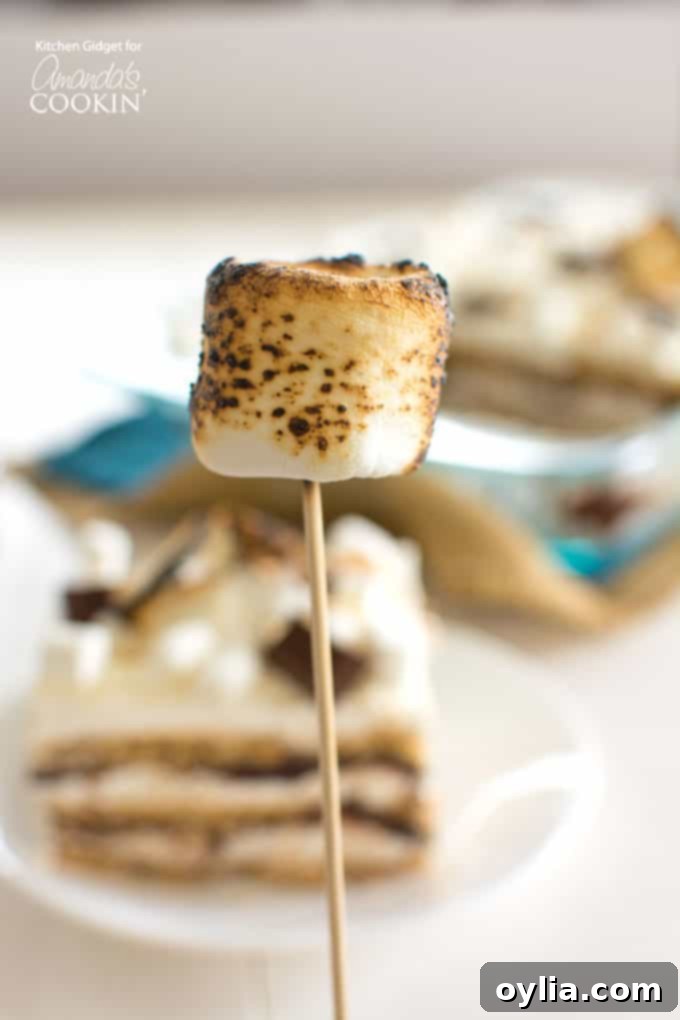 roasted marshmallow on a stick over a small flame, ready for topping a s'mores icebox cake