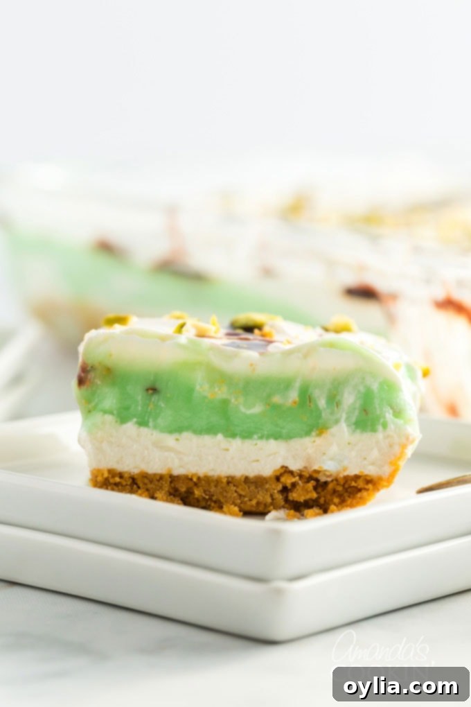 close up photo of pistachio lush