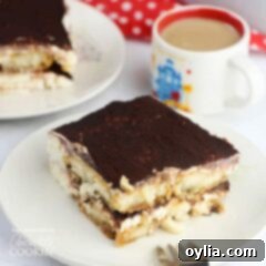 Tiramisu cake on a plate