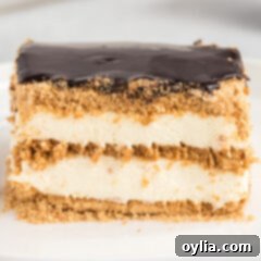 A top-down view of the irresistible no-bake eclair cake, with its perfect layers of creamy filling and smooth chocolate ganache.