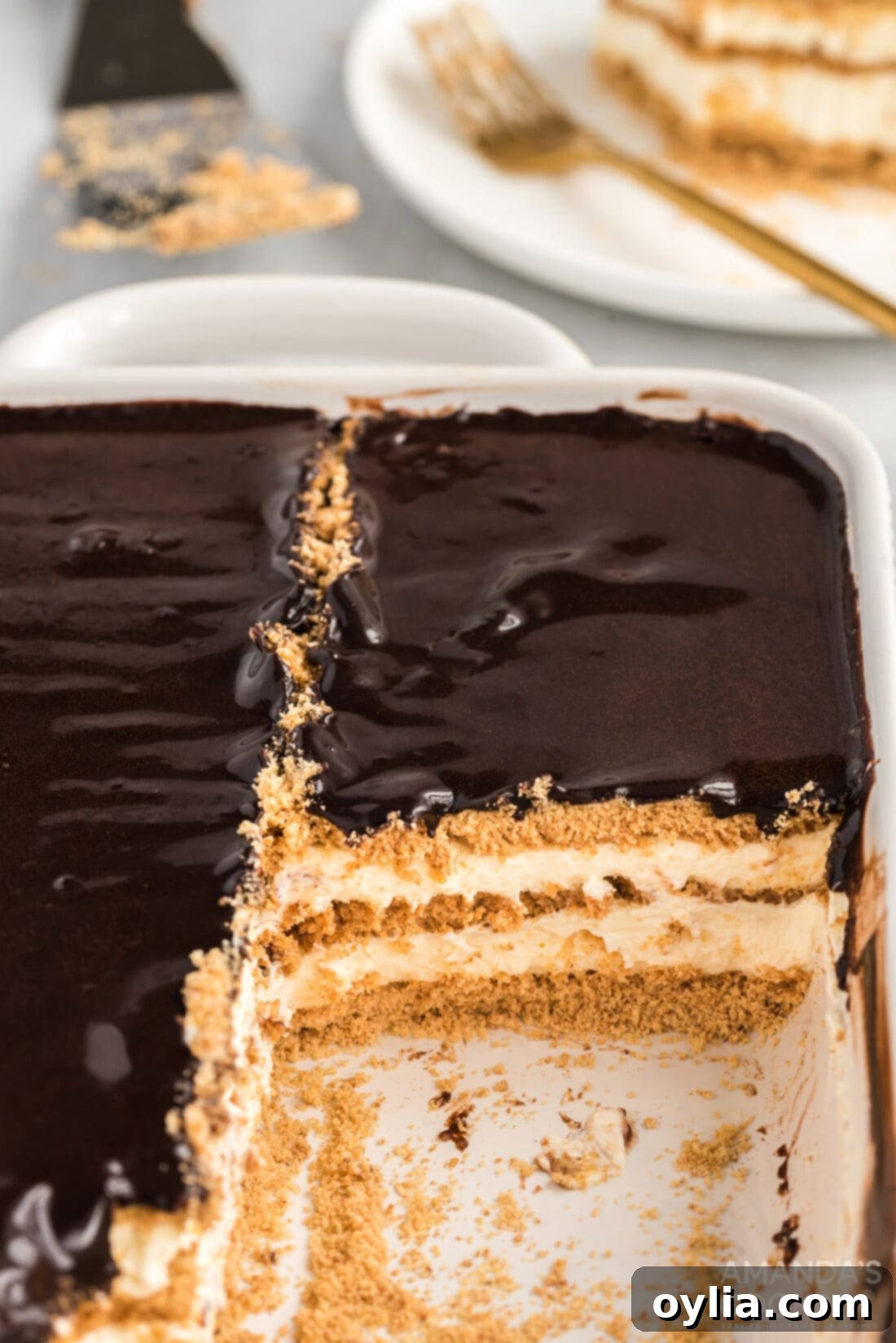 A full pan of decadent no-bake eclair cake, showcasing the smooth, glossy chocolate ganache topping and the promise of creamy layers beneath.