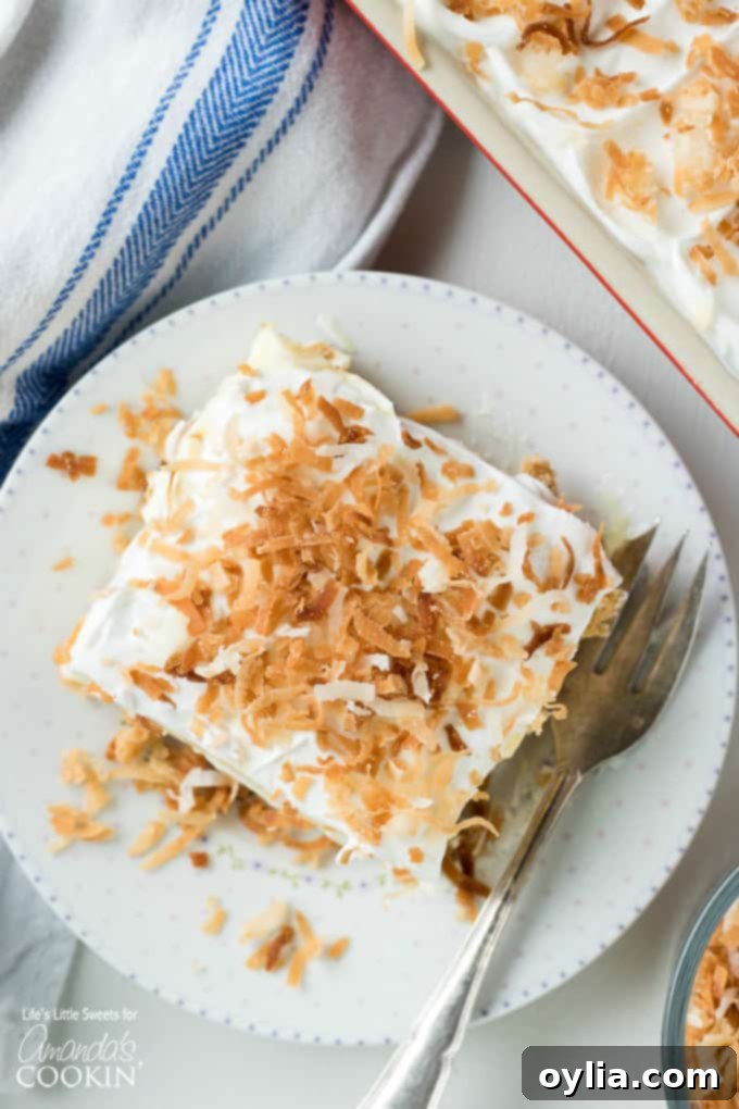 An enticing overhead shot of Coconut Cream Lush, a perfect one-pan pudding dessert. One-pan Coconut Cream Lush pudding dessert, overhead view