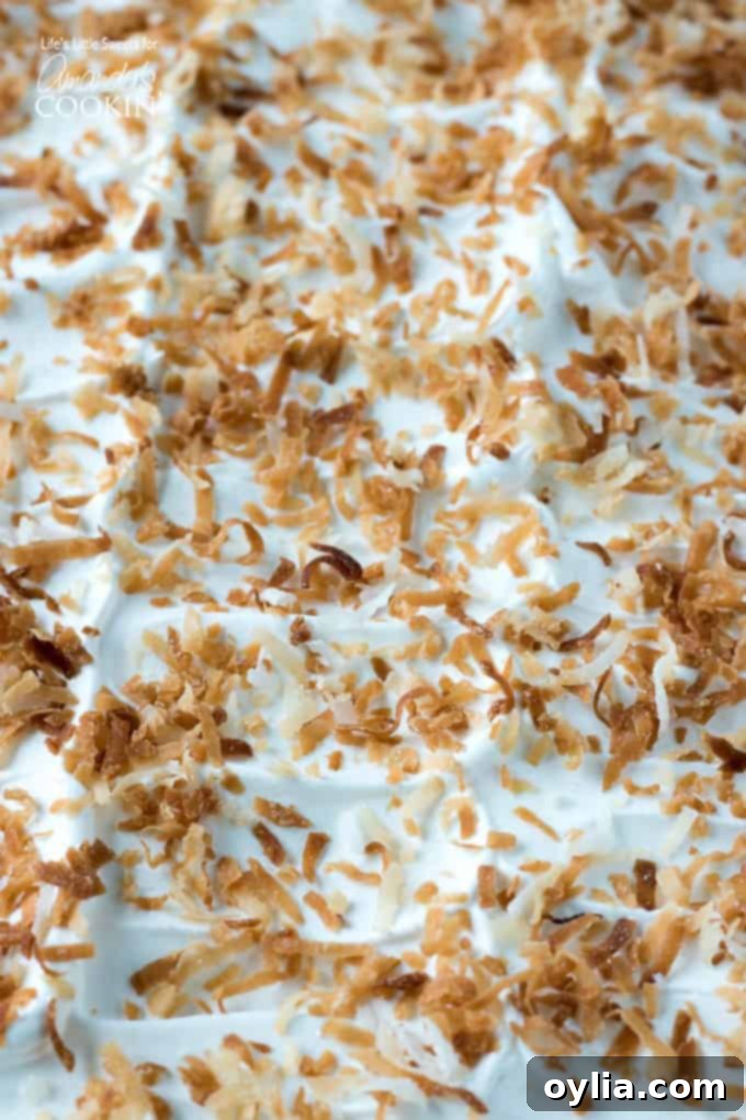 A close-up of Coconut Cream Lush, garnished with crunchy toasted coconut shavings. Close-up of Coconut Cream Lush with toasted coconut shavings