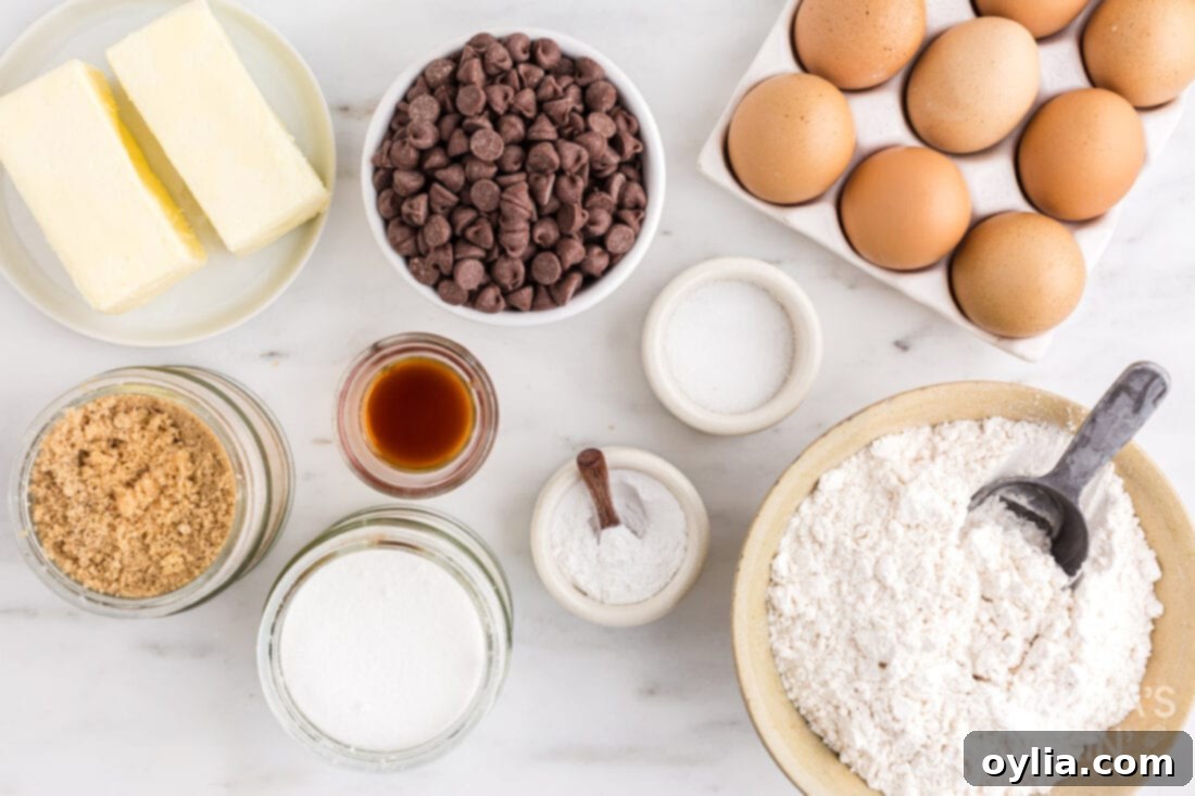 ingredients for chocolate chip cookie skillet
