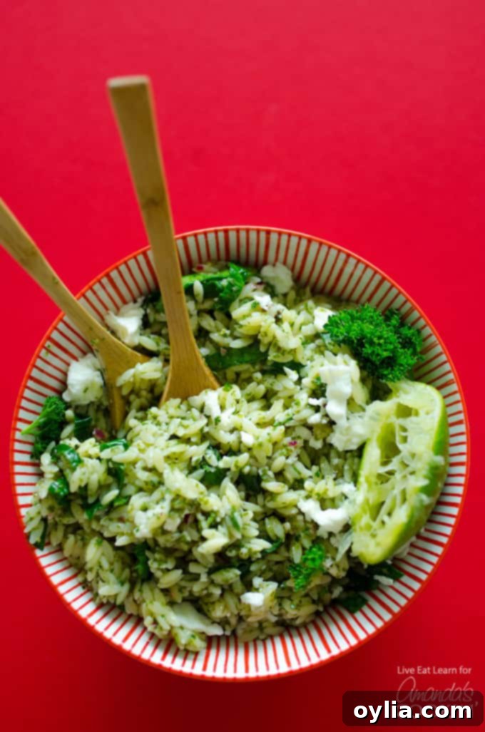 Delicious and easy Orzo Salad with vibrant Chimichurri Sauce, spinach, and feta