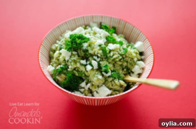 Delicious Orzo Salad with Chimichurri Sauce prepared in less than 15 minutes!
