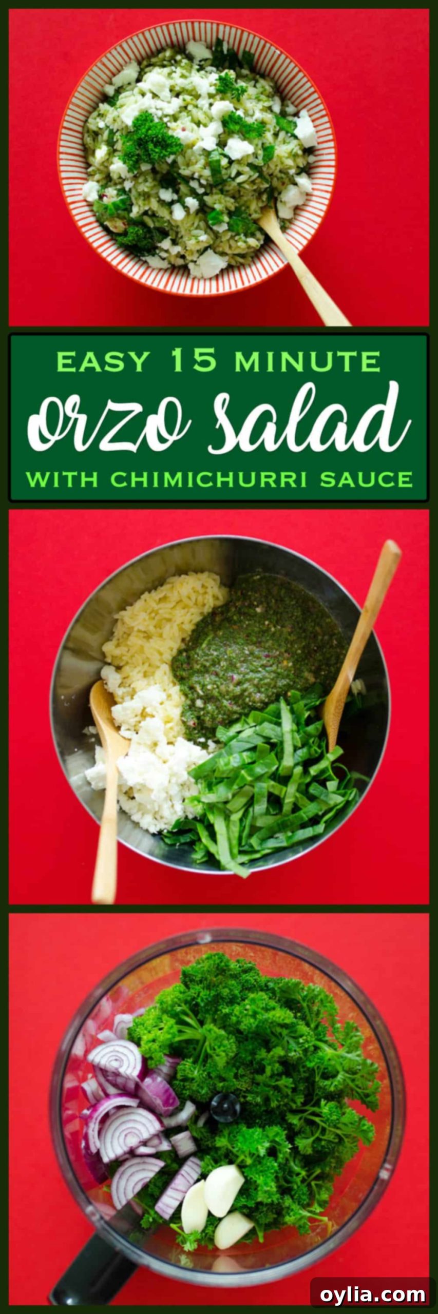 pinterest image with text: Orzo Salad with Chimichurri, Spinach, Feta