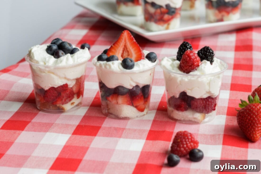 Three Mini Shortcake Cups, showing different fruit variations including strawberries, blueberries, raspberries, and blackberries.