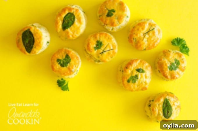 Beautifully baked herby buttermilk biscuits with golden tops