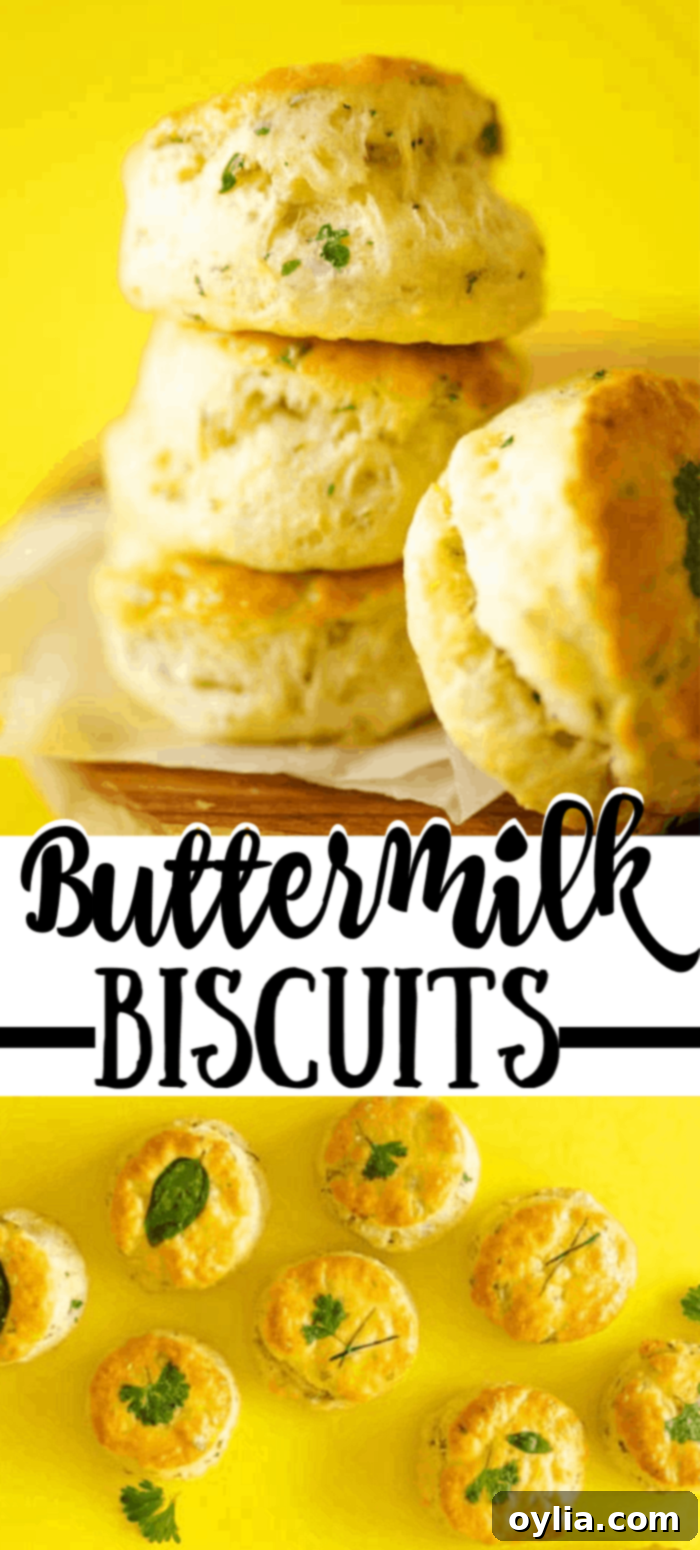 Promotional image for Flaky, Buttery Herb Buttermilk Biscuits with Greek Yogurt recipe