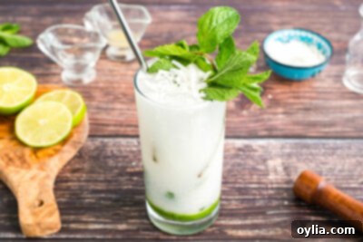 A finished Coconut Mojito, garnished with a lime wheel, mint sprig, and a sprinkle of coconut flakes, ready to be served.