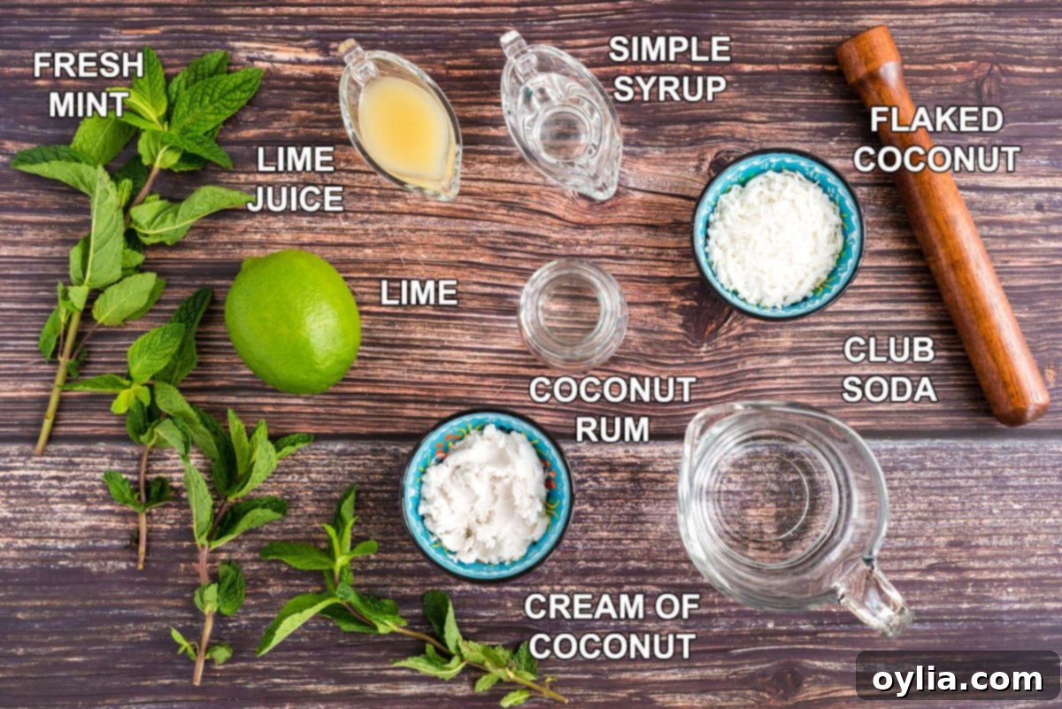 Coconut Mojito Bliss 2 Labeled ingredients for a Coconut Mojito, including mint, lime, simple syrup, coconut rum, cream of coconut, and club soda.