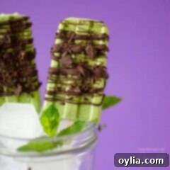 Creamy Mint Chocolate Coconut Popsicle with chocolate drizzle