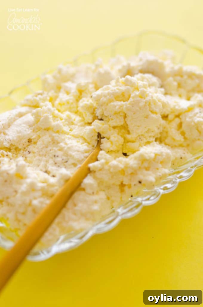 Homemade ricotta cheese recipe, fresh and creamy