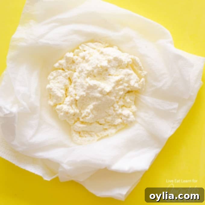 homemade ricotta in a bowl, ready to be served