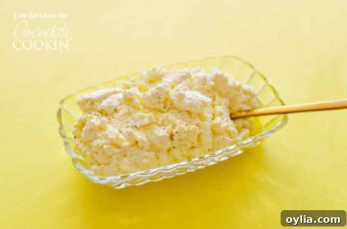 homemade ricotta cheese ready to be used in recipes