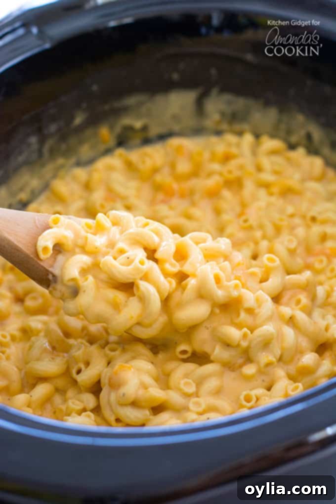 This creamy crockpot macaroni and cheese starts with uncooked macaroni. Just throw the milk, cheese, and seasonings in the slow cooker for a meal everyone will love! #crockpot #macandcheese #dinner #slowcooker macaroni and cheese in crockpot