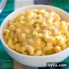 Simply Delicious Slow Cooker Mac and Cheese 2 bowl of macaroni and cheese