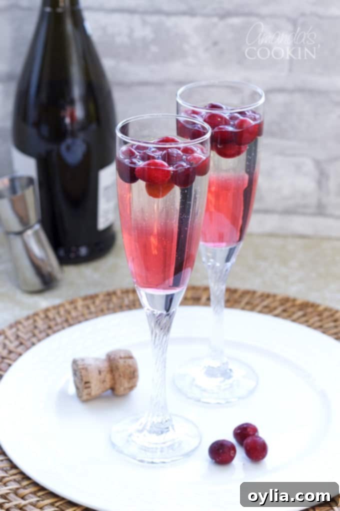 Festive Cranberry Prosecco Fizz 2 Glasses of sparkling cranberry prosecco punch garnished with fresh cranberries, perfect for holiday gatherings