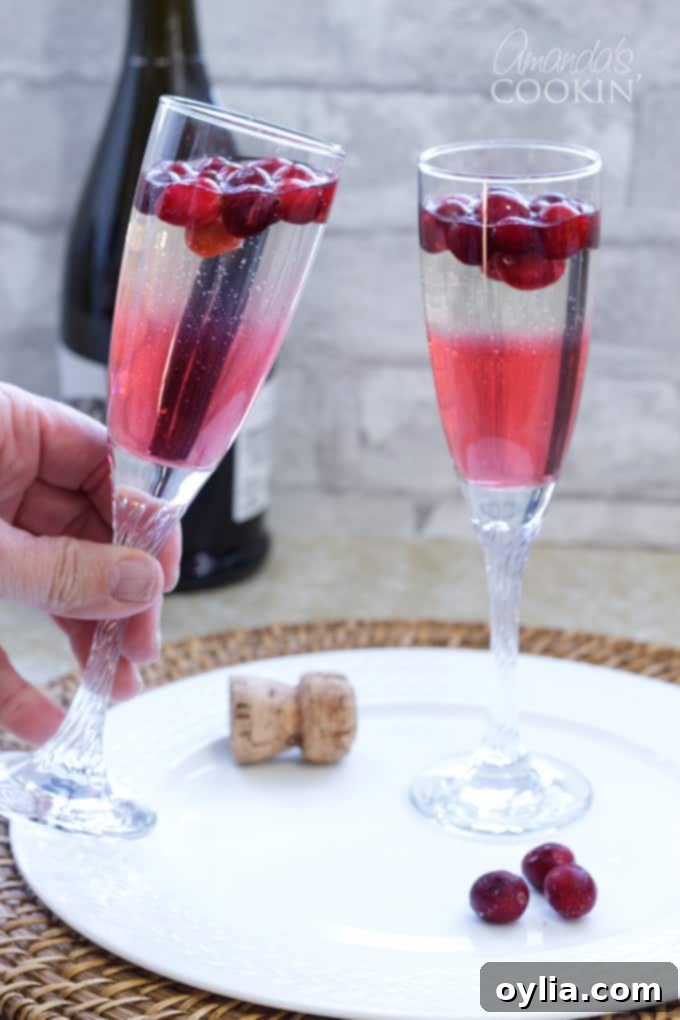 Festive Cranberry Prosecco Fizz 4 Two hands toasting champagne flutes filled with sparkling Cranberry Prosecco Punch, celebrating a festive occasion
