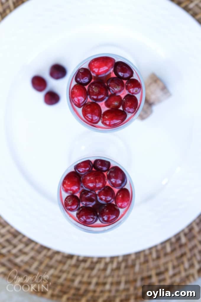 Festive Cranberry Prosecco Fizz 5 Overhead view of two champagne flutes with festive cranberry prosecco punch and frozen cranberries