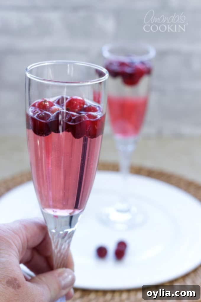 Festive Cranberry Prosecco Fizz 6 Hand holding a champagne flute with a perfectly stirred, pretty-in-pink cranberry prosecco punch
