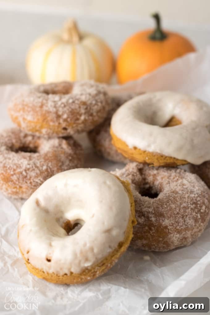 Freshly baked pumpkin spice donuts, some with maple glaze and some with a sugar coating.