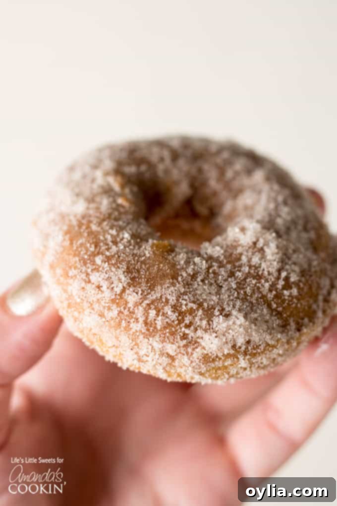 A baked pumpkin spice donut held in hand, showcasing its perfect texture.