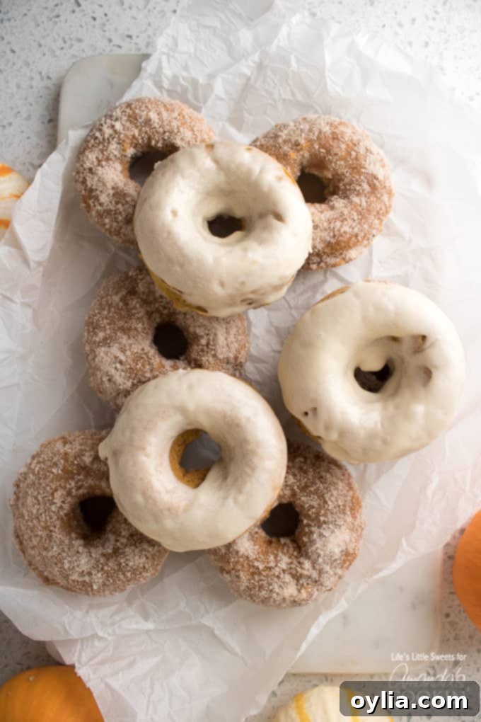 Assortment of Pumpkin Spice Donuts, some with smooth maple glaze and others with a sugary pumpkin spice coating.
