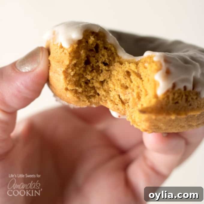 Close-up of baked pumpkin spice donuts, some with maple glaze, arranged on a cooling rack.