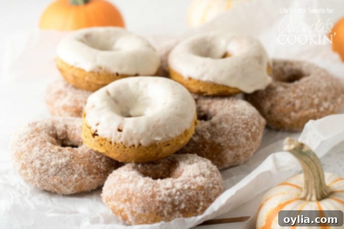 A selection of baked pumpkin spice donuts, some with maple glaze and others with sugar coating, arranged for serving.
