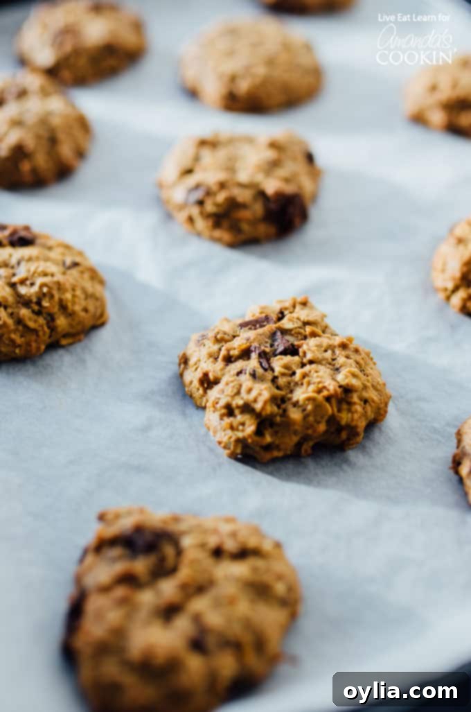 sweet potato oat cookies out of oven