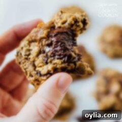 A half eaten cookie