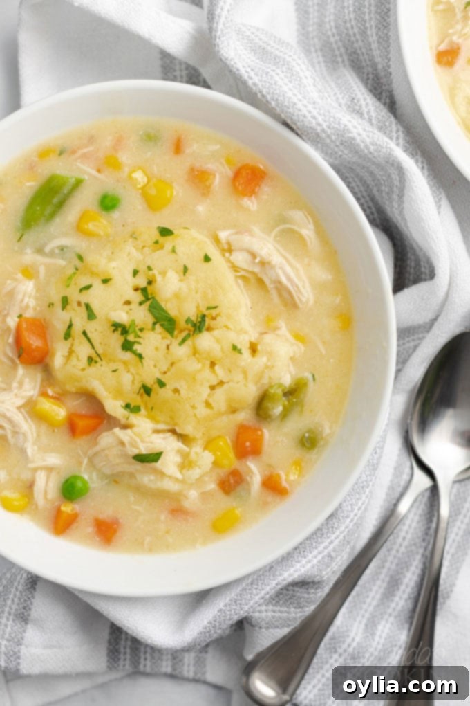 This crockpot chicken and dumplings recipe is creamy, hearty and delicious with a to-die-for gravy and the perfect balance of protein and vegetables. #crockpot #crockpotrecipes #chickenrecipes #chickenanddumplings #dumplings #souprecipes #easydinner Close up bowl of creamy crockpot chicken and dumplings