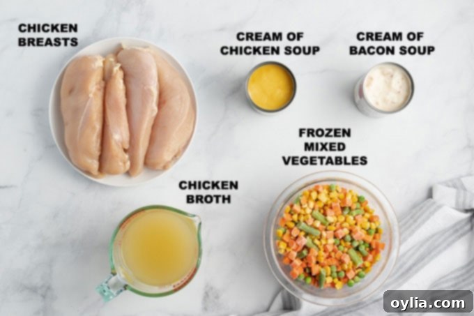 This crockpot chicken and dumplings recipe is creamy, hearty and delicious with a to-die-for gravy and the perfect balance of protein and vegetables. #crockpot #crockpotrecipes #chickenrecipes #chickenanddumplings #dumplings #souprecipes #easydinner Ingredients for crockpot chicken and dumplings: chicken, canned soups, frozen vegetables