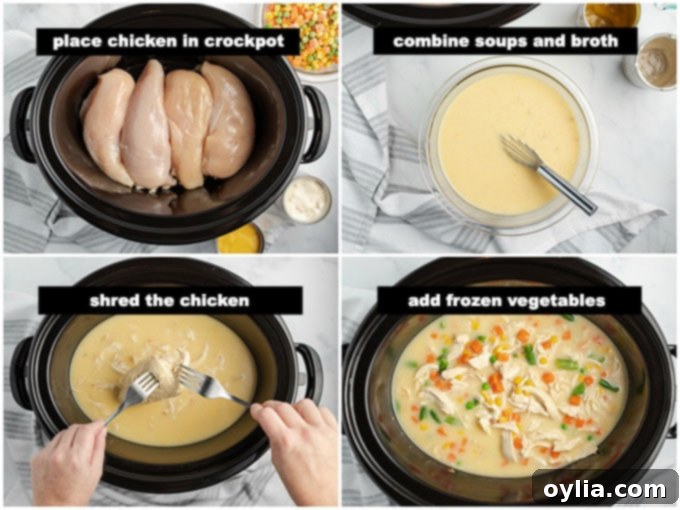 Cozy Slow Cooker Chicken and Dumplings 2 Crockpot with raw chicken breasts, soup, and broth before cooking