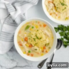 Cozy Slow Cooker Chicken and Dumplings 4 A bowl of Chicken and Dumpling