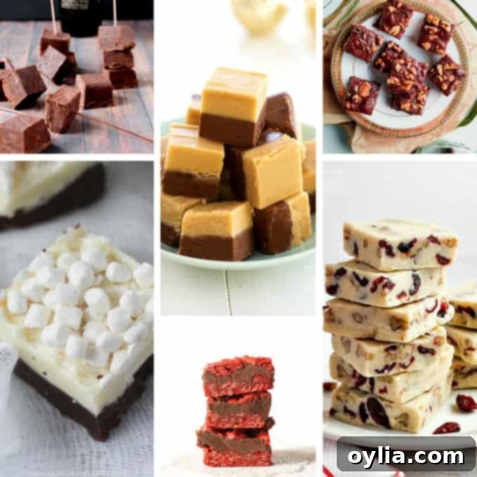 A selection of delicious homemade fudge recipes, perfect for any sweet craving, from classic chocolate to festive cranberry.