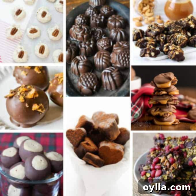 A tempting collage of homemade chocolate truffles and other decadent bite-sized candies, showcasing rich textures and diverse flavors.