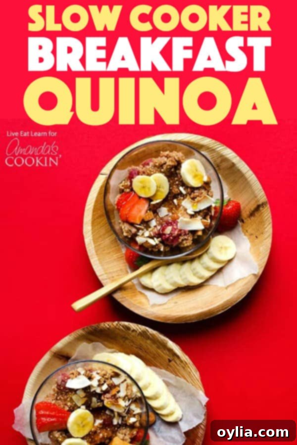 Slow Cooker Breakfast Quinoa served in a bowl, ready to eat