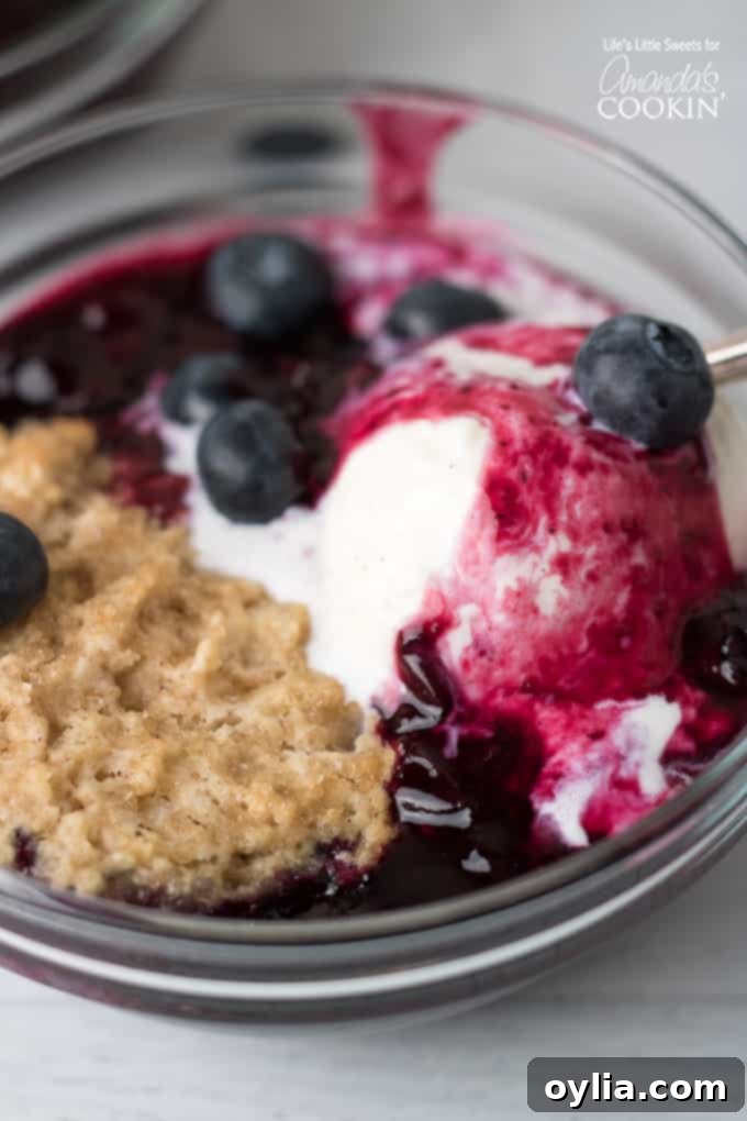 Close-up of baked blueberry fruit cobbler with bubbling filling