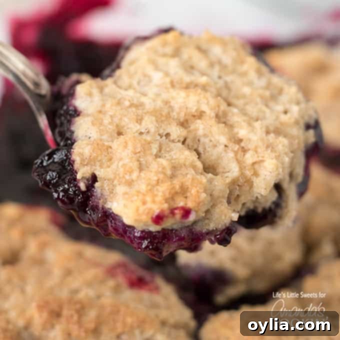 A spoonful of warm blueberry cobbler showing the juicy filling and biscuit topping