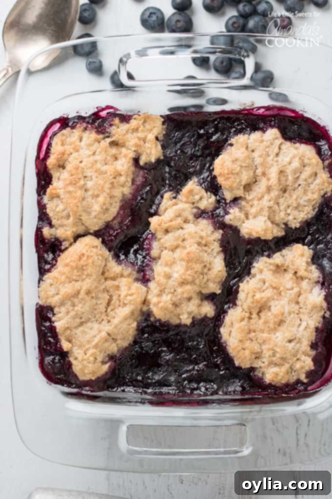 Blueberry cobbler in a baking pan, showing the biscuit topping before baking